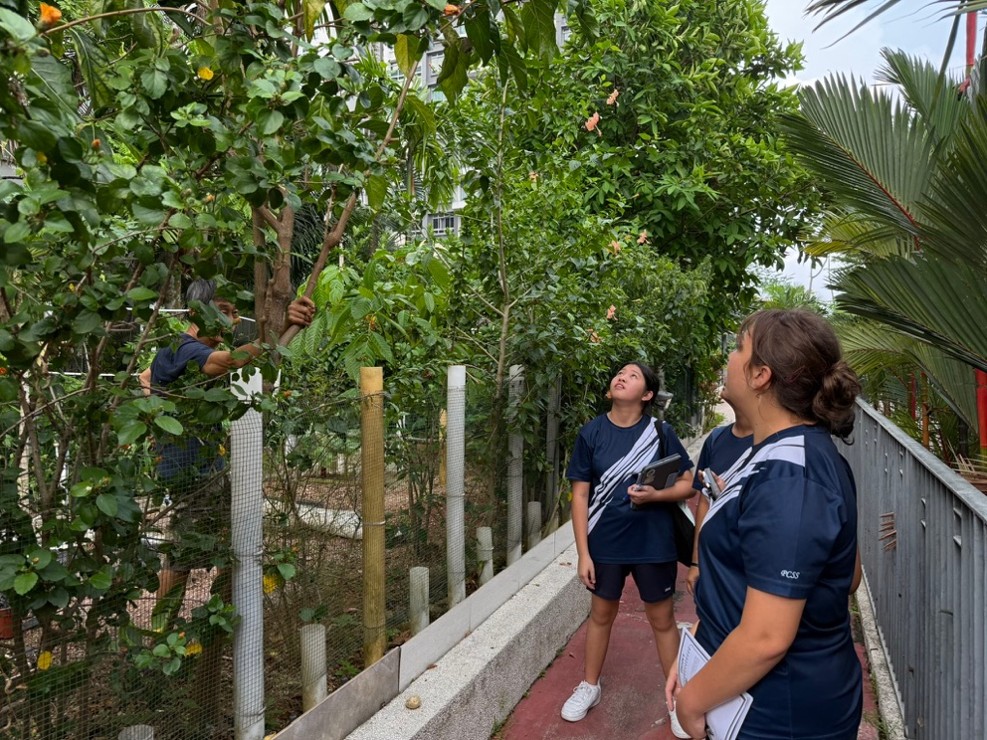 Students learning from residents